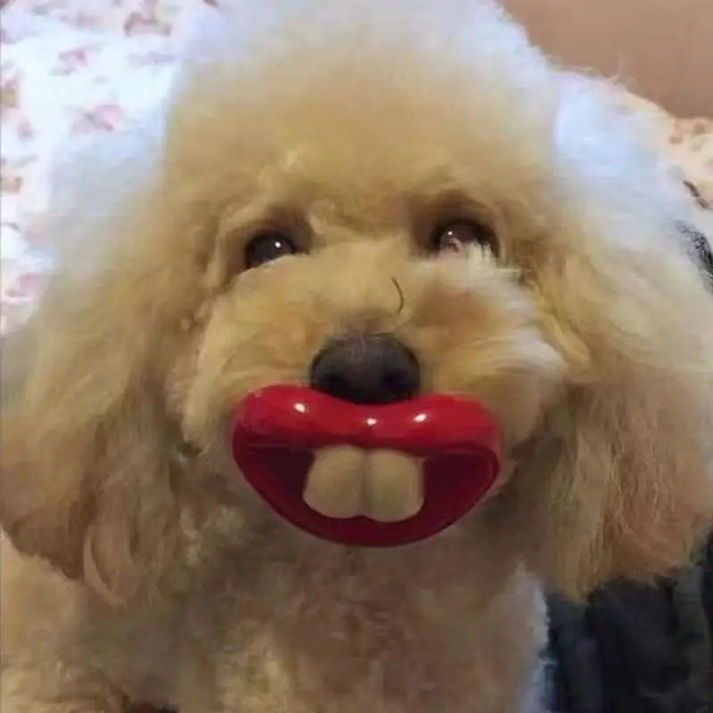 Silicone Pacifier For Dogs Funny Chew Toy Red Lips Dog Pacifier Soft Oral Health Care Teething Pet Teether For Small Puppy