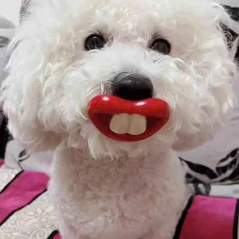 Silicone Pacifier For Dogs Funny Chew Toy Red Lips Dog Pacifier Soft Oral Health Care Teething Pet Teether For Small Puppy
