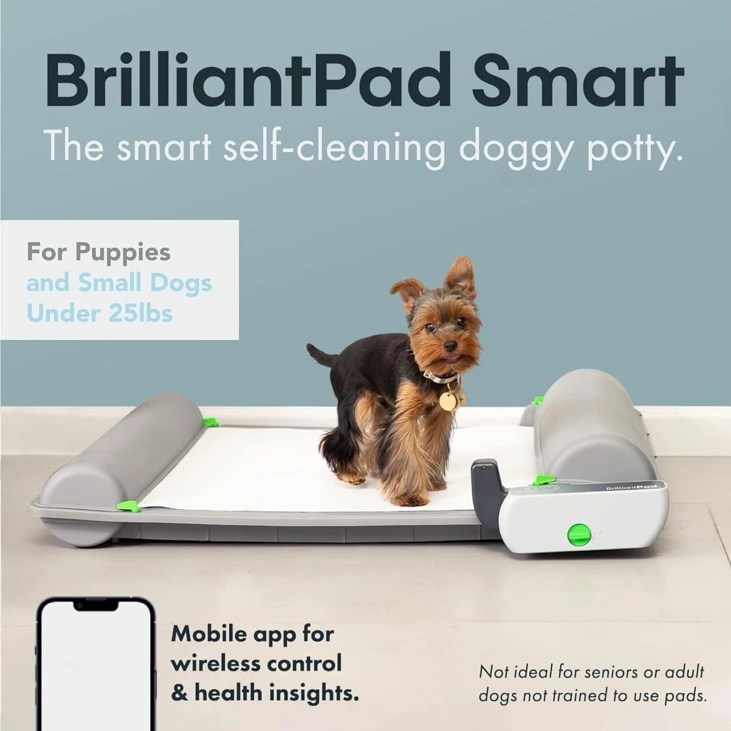 Smart Indoor Dog Potty for Small Pets | Self Cleaning with Odor Control, AI Health Monitoring, Puppy Training Alternative to