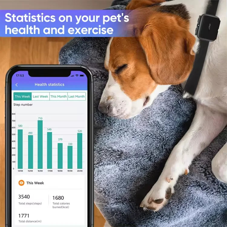 Pet GPS Tracker With Sim Card Small Cat Health GPS Collar for Dog Pet Activity Tracker