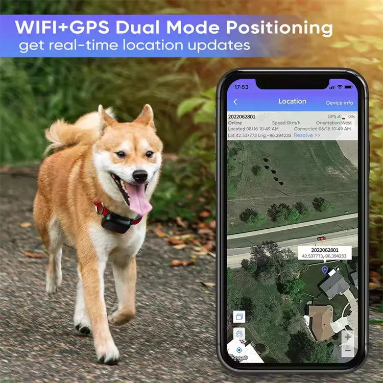 Pet GPS Tracker With Sim Card Small Cat Health GPS Collar for Dog Pet Activity Tracker