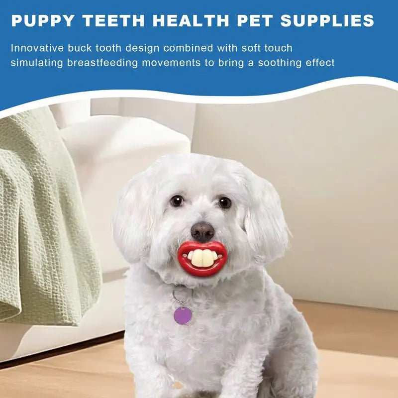 Silicone Pacifier For Dogs Funny Chew Toy Red Lips Dog Pacifier Soft Oral Health Care Teething Pet Teether For Small Puppy