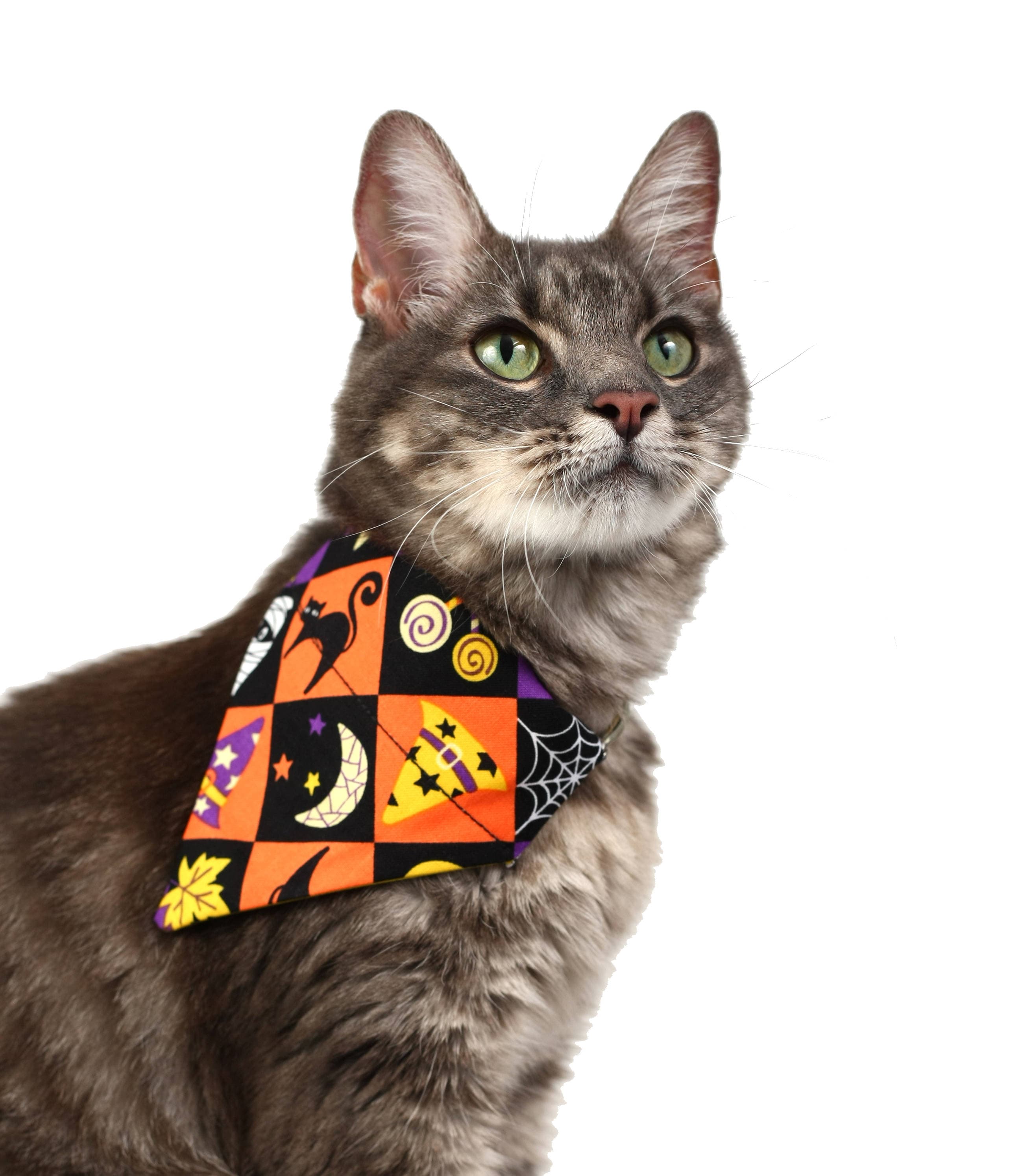 Spooky Squares Pet Scarf